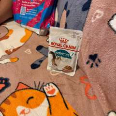 Фото отзыва 10466387