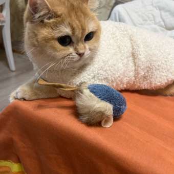 Игрушка для кошек Barbaks Мышь поющая с кошачьей мятой 18см: отзыв пользователя. Зоомагазин Зоозавр