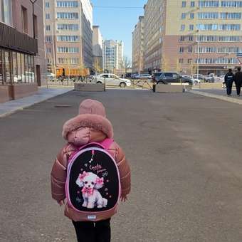 Ранец Erhaft Пудель: отзыв пользователя Детский Мир