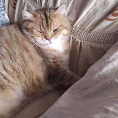 Фото отзыва 10910374