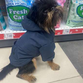 Куртка для собак Zoozavr тёмно-синяя 30: отзыв пользователя. Зоомагазин Зоозавр