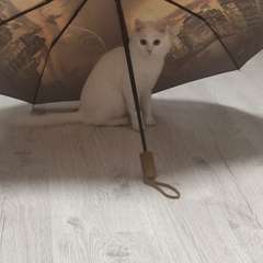 Фото отзыва 10533907