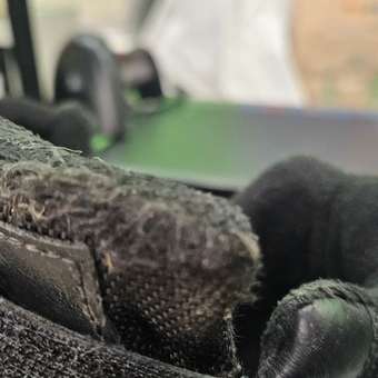 Ботинки Jook: отзыв пользователя Детский Мир