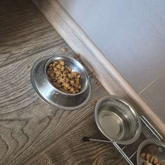 Корм для кошек ROYAL CANIN Neutered Satiety Balance стерилизованных 1.5кг: отзыв пользователя. Зоомагазин Зоозавр