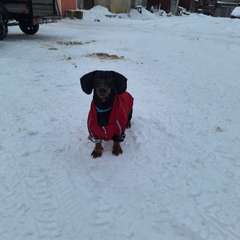 Фото отзыва 10855503