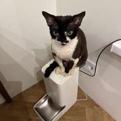 Фото отзыва 10708938