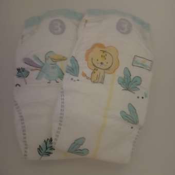 Подгузники Pampers Premium Care 3 (6-10 кг) 74 шт.: отзыв пользователя ДетМир