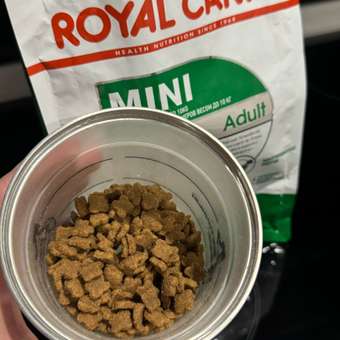 Корм для собак ROYAL CANIN мелких пород 800г: отзыв пользователя. Зоомагазин Зоозавр