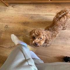 Фото отзыва 10967425