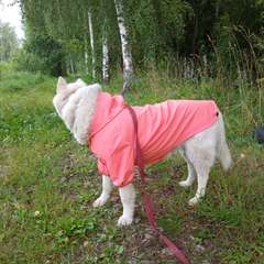 Фото отзыва 9761250