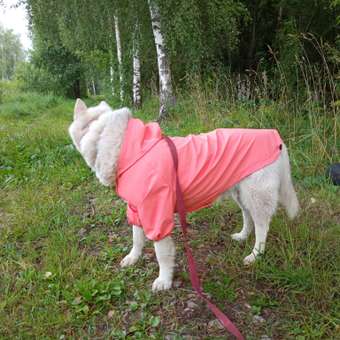 Куртка-дождевик для собак Zoozavr розовый 65: отзыв пользователя. Зоомагазин Зоозавр