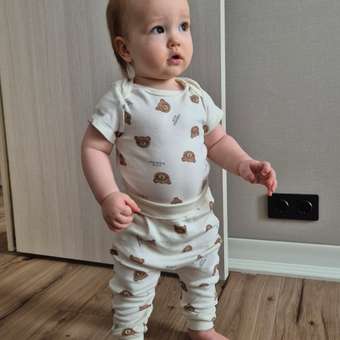 Боди 2 шт artie: отзыв пользователя Детский Мир