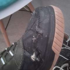 Фото отзыва 8729340