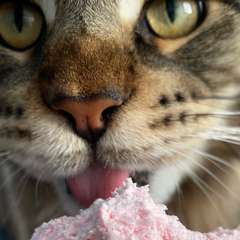 Фото отзыва 10671784