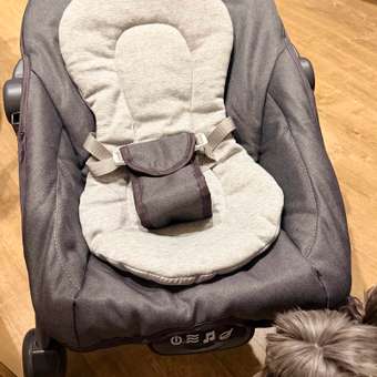 Шезлонг BabyGo Birdy серый: отзыв пользователя Детский Мир