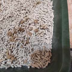 Фото отзыва 11124648