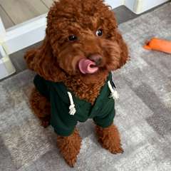 Фото отзыва 11084575