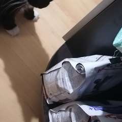 Фото отзыва 10982398