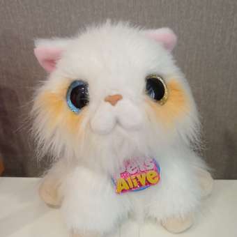 Мягкая игрушка Zuru Pets Alive Smitten Kittens в ассортименте: отзыв пользователя Детский Мир