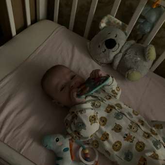 Игрушка Fisher Price Коала: отзыв пользователя Детский Мир