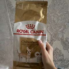 Фото отзыва 10702858