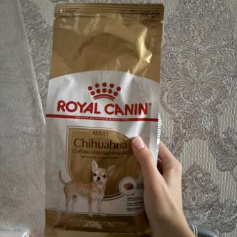Корм для собак ROYAL CANIN породы чихуахуа 500г: отзыв пользователя. Зоомагазин Зоозавр
