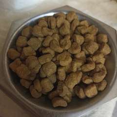 Фото отзыва 10759382