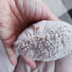 Фото отзыва 10651998