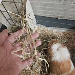 Фото отзыва 10520072