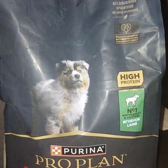 Корм для щенков PRO PLAN средних пород с комплексом Optidigest с чувствительным пищеварением с ягненком 1.5 кг: отзыв пользователя. Зоомагазин Зоозавр