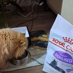 Фото отзыва 10531834