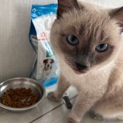 Фото отзыва 10331588