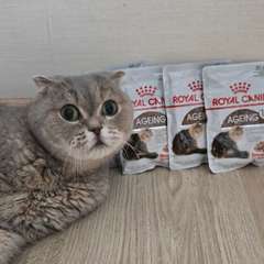 Фото отзыва 10581197