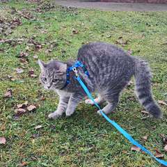 Фото отзыва 10748544