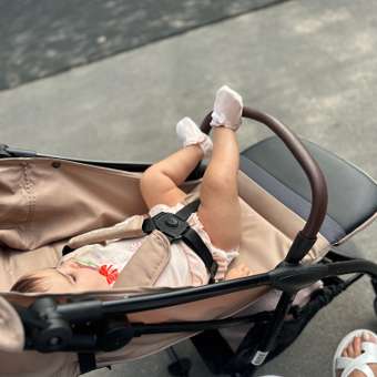 Коляска прогулочная Olsson Smart Beige бежевый: отзыв пользователя Детский Мир
