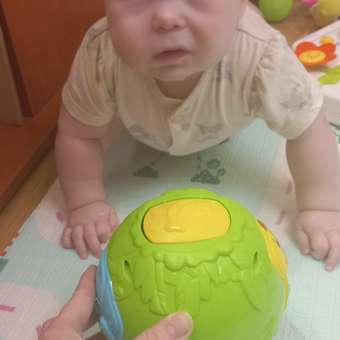 Игрушка BabyGo развивающий центр Джунгли: отзыв пользователя ДетМир