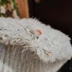 Фото отзыва 10600565