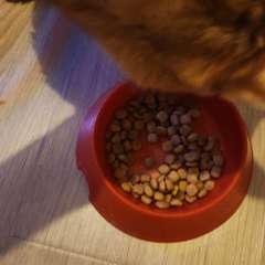 Фото отзыва 10567424