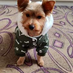 Фото отзыва 10550525