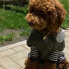 Фото отзыва 10727618