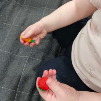 Игрушка IQ-ZABIAKA сортер: отзыв пользователя Детский Мир