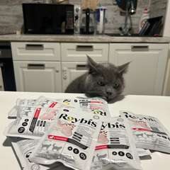 Фото отзыва 10732031