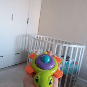 Игрушка BabyGo Черепашка: отзыв пользователя ДетМир
