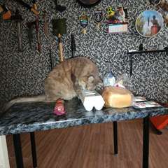 Фото отзыва 10750462