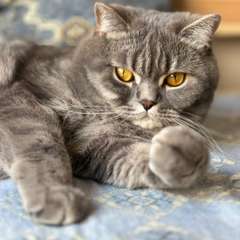 Фото отзыва 10979612