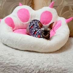 Фото отзыва 10816145