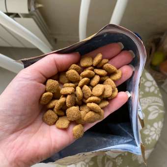 Корм для собак ROYAL CANIN породы миниатюрный шнауцер 3кг: отзыв пользователя. Зоомагазин Зоозавр