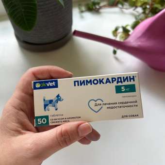 Таблетки для собак Okvet Пимокардин 5мг со вкусом и ароматом свежего мяса 50 таблеток: отзыв пользователя. Зоомагазин Зоозавр