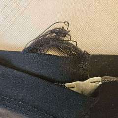 Фото отзыва 11226837