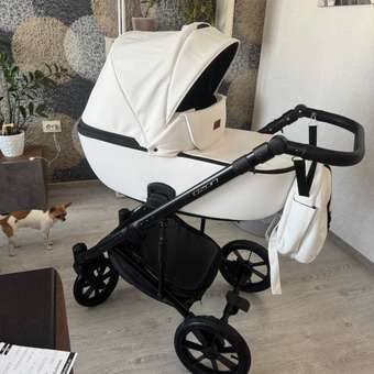 Коляска 2в1 Riko Basic Ozon: отзыв пользователя Детский Мир